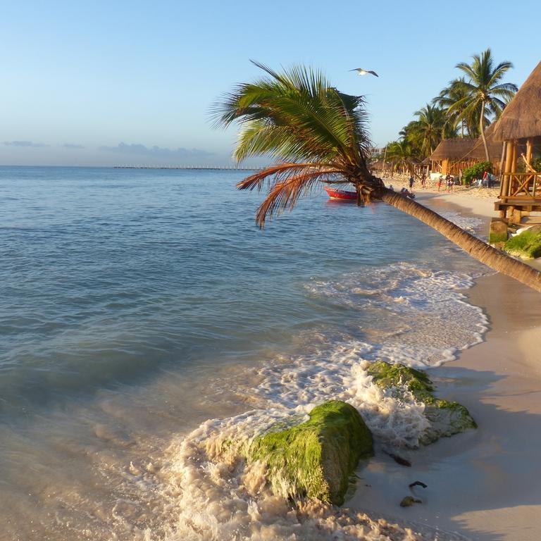 Lilas Del Mar Apartments Плайя-дель-Кармен Екстер'єр фото
